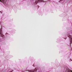 Flower frame on white background 