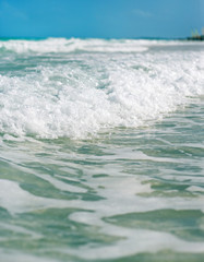 The wave with foam at the shore of the ocean