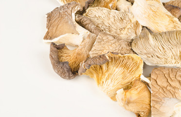 Oyster mushrooms
