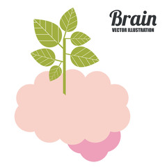 Brain design