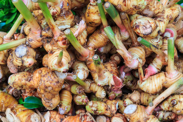 Galangal for sale at market, Thailand
