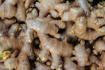 Ginger root for sale at market, Thailand