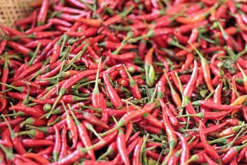 Fresh chili in the market