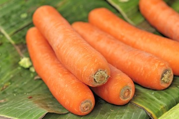 Close-up of the fresh carrots.