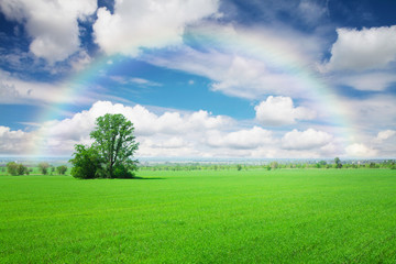Obraz premium Green grass field, blue sky with clouds and rainbow