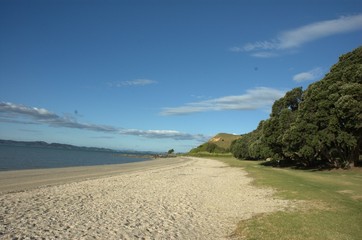 seascape New Zealand