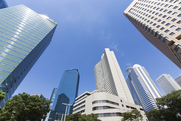 青空の新宿高層ビル群を見上げる