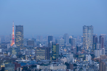 Obraz premium 東京都市風景 新宿高層ビル街から望む東京タワーと東京都心全景 望遠