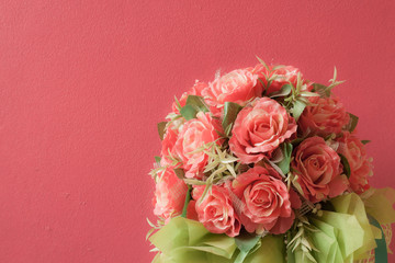 Rose , red wall background.