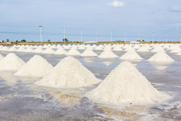 Farmers are harvesting salt in the salt fields.