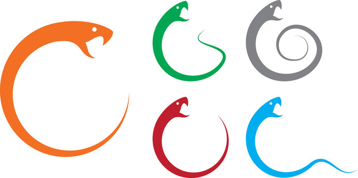 Vector illustration of snake, silhouette, logo, icon, colorful