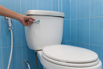 toilet with a flush. Press and flush.