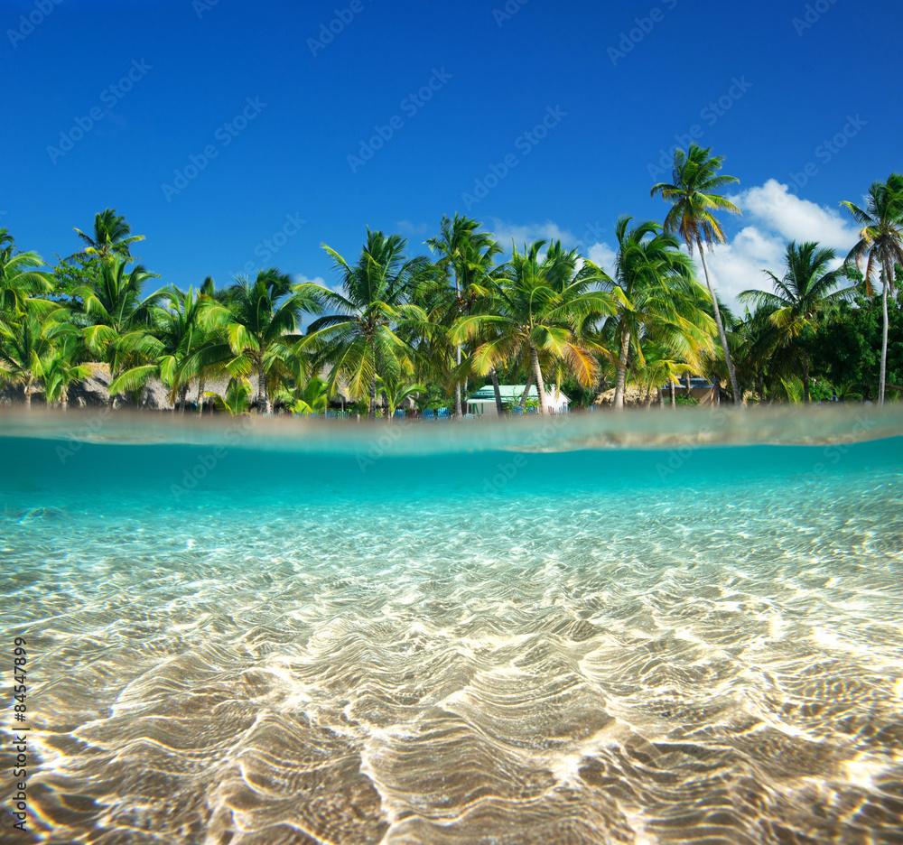 Canvas Prints tropical beach