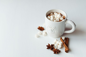 Spicy hot cocoa with marshmallows