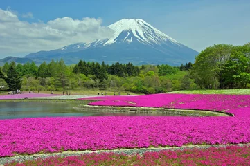 Tuinposter Mount Fuji © Paul Atkinson