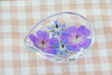 水に浮かべたボリジとフウロソウ