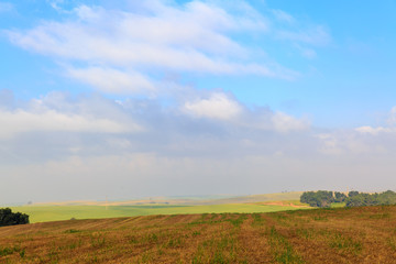 Obraz premium Tranquil wide field under white clouds