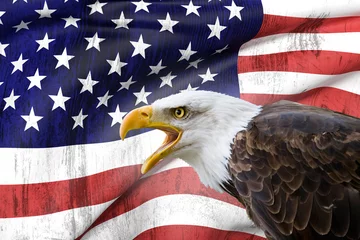 Fototapete Adler Weißkopfseeadler und USA-Flagge
