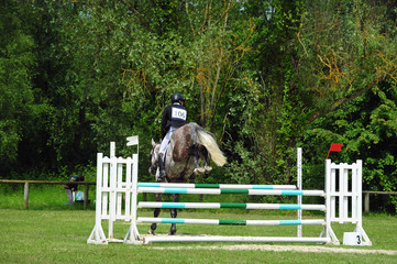 saut d'obstacles