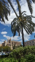 Catedral de palma de mallorca