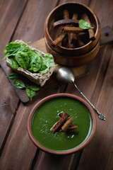 Freshly made spinach cream-soup with croutons, studio shot