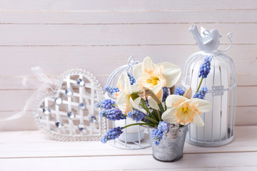 Background with fresh muscaries  and narcissus in bucket and can