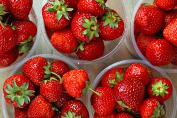 Fresh strawberries in a plastic bowl on wooden background