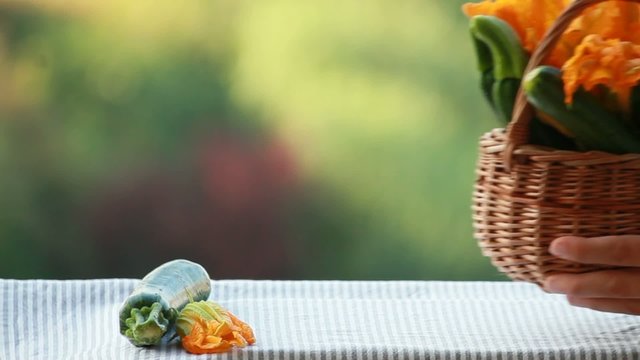 zucchine e fiori di zucca freschi bio
