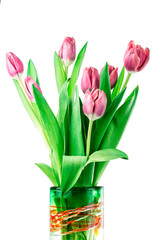 Tulips in a Vase