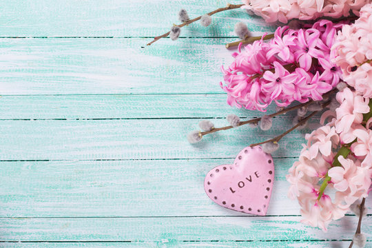 Background with fresh flowers hyacinths and decorative heart