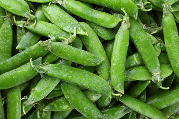 Fresh green peas close-up. The texture of pea