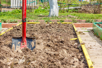 Metal shovel in the ground in the  seedbed. Vegetable garden. Household plot. Dacha.