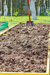 Metal shovel in the ground in the  seedbed. Vegetable garden. Household plot. Dacha.