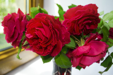 Bright bouquet of large red roses in vase on the windowsill
