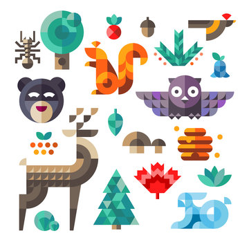Forest icons, geometric proportions