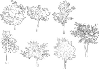 seven tree sketches isolated on white