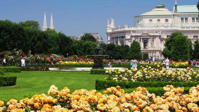 Volksgarten Wien in der Rosenblüte