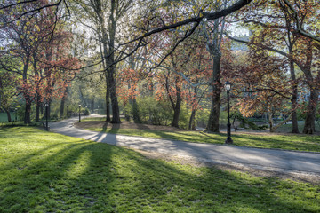 Central Park, New York City