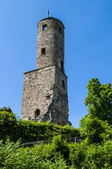 Fototapeta na wymiar Ruine Löwenstein