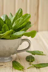 spinach 