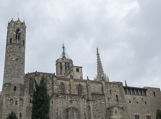 Fototapeta na wymiar The Cathedral of the Holy Cross and Saint Eulalia, Barcelona, Spain