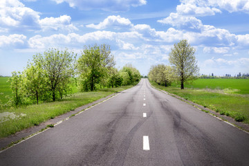 Fototapeta premium Asphalt road through the green field in spring day