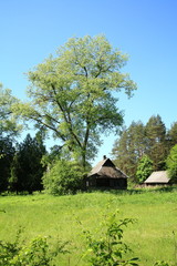 House in the outskirts