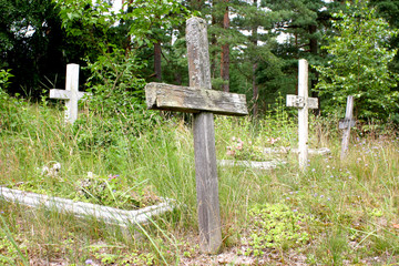 Old rotten wooden crosses in abandoned cemetery 