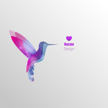 hummingbird, colorful vector abstract illustration