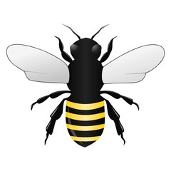 Bee 