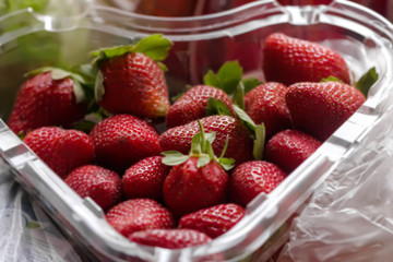 Fresh strawberries