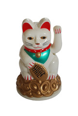 Lucky cat!
