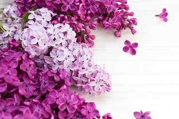 lilac flowers and empty space for your text. Syringa vulgaris