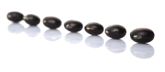 Black beans over white background